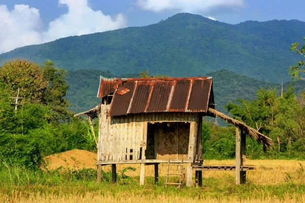 Farmer's hut på ett fält i Vang Vieng, Vientien provinsen, Laos — Stockfoto