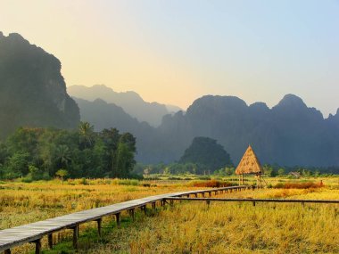 Kaya oluşumları Vang Vieng içinde çevrili hasat pirinç alan
