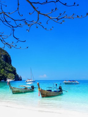 Phi Phi Don Isl üzerinde Ao Yongkasem plajda Longtail tekneler demirli