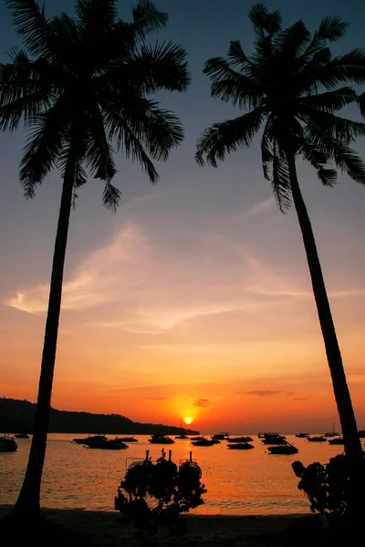 Silhouetted palm trees and boats at sunrise on Ao Ton Sai, Phi P — Stock Photo, Image