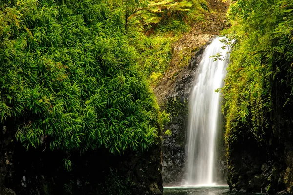 Cascada de Wainibau al final del paseo costero de Lavena en Taveuni —  Fotos de Stock