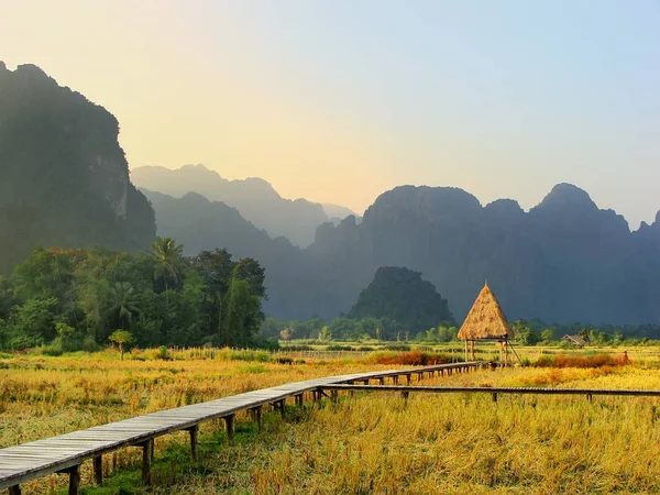 Zbiorów ryżu pola otoczone formacje skalne w Vang Vieng — Zdjęcie stockowe