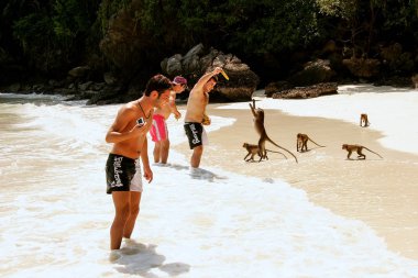 Krabi, Tayland - 30 Kasım: Yengeç yiyen besleme kimliği belirsiz erkek