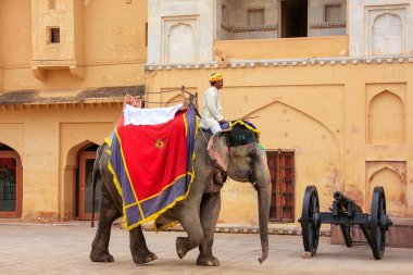 Amber, Hindistan - 1 Mart: Kimliği belirsiz rides elephan dekore edilmiş