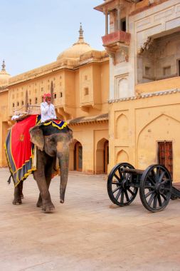 Amber, Hindistan - 1 Mart: Kimliği belirsiz rides elephan dekore edilmiş