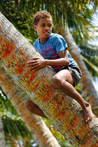 Lavena, Fidži - 27. listopadu: Neznámý chlapec šplhá palmou na — Stock fotografie