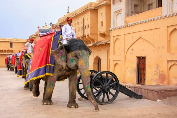AMBER, INDIA - 1 DE MARZO: Hombres no identificados montan elefante condecorado — Foto de Stock