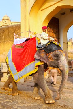 Amber, Hindistan - 13 Kasım: Kimliği belirsiz sürmek YYK dekore edilmiş