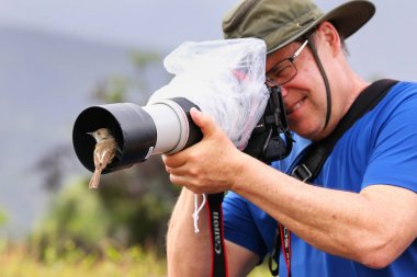 Santiago Adası, Ekvador-22 Nisan: Galapagos sinekkapan oturur