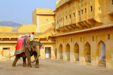 Amber, Hindistan - 13 Kasım: Kimliği belirsiz sürmek YYK dekore edilmiş