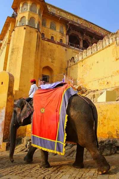 AMBER, INDIA - 1 DE MARZO: Paseos no identificados decorados con elephan — Foto de Stock