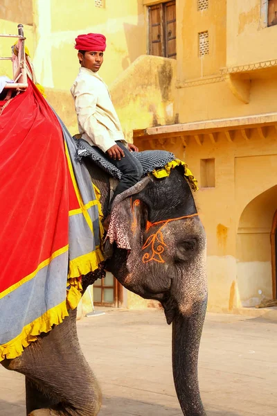 AMBER, INDIA - NOVEMBER 13: Unidentified man rides decorated ele — Stock Photo, Image