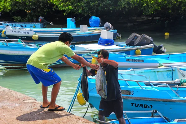 ISLA SANTA CRUZ, ECUADOR - 23 DE ABRIL: Descarga de hombres no identificados — Foto de Stock