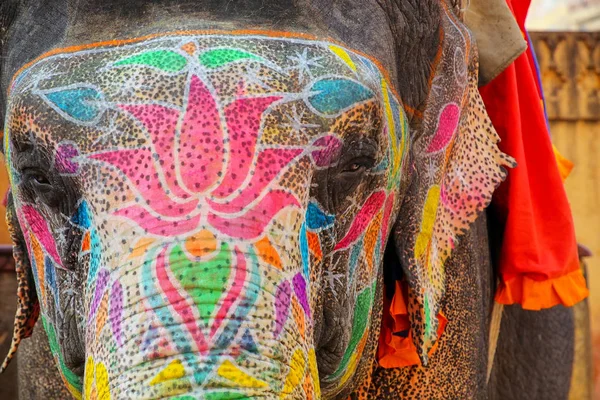 Ritratto di elefante dipinto che sale al Forte di Ambra vicino a Jaipu — Foto Stock