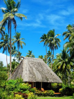Vanua Levu Island, Fiji thatched çatı ile geleneksel ev