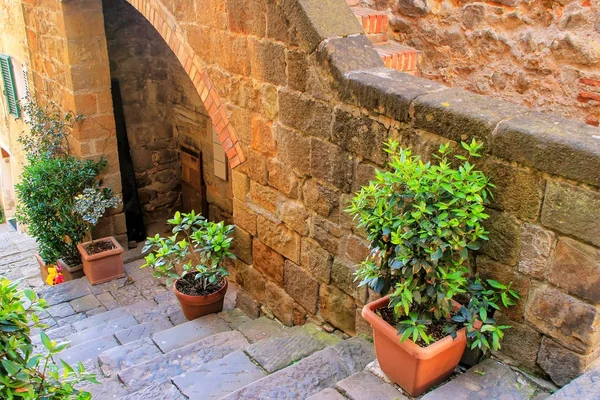 Steintreppe mit Pflanztöpfen im historischen Zentrum von Montalcin — Stockfoto