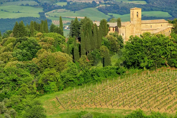 Uitzicht op het platteland en een boerderij in de buurt van Montalcino, Val d'Orcia — Stockfoto