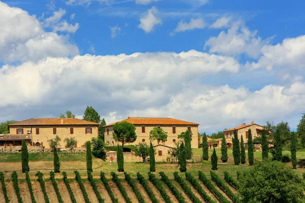 Houses with vineyard and cypress trees in Val d'Orcia, Tuscany, — Stock Photo, Image