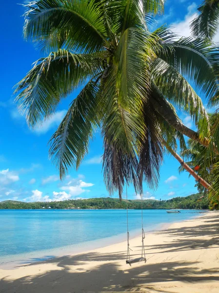 Columpio de cuerda en la playa en la isla de Nananu-i-Ra, Fiji —  Fotos de Stock