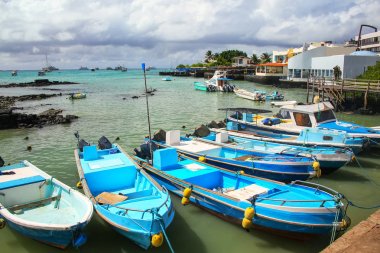 Boats anchored at Puerto Ayora on Santa Cruz Island, Galapagos N clipart