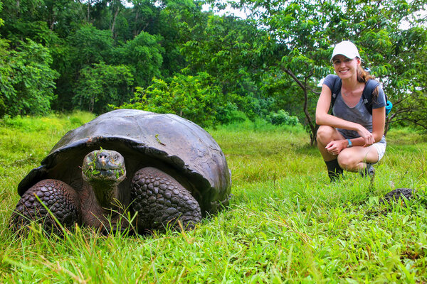 Галапагосская гигантская черепаха с молодой женщиной (размыта на заднем плане
