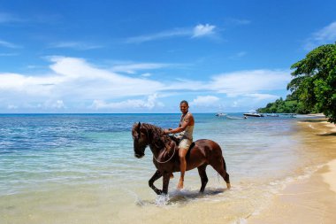 Taveuni, Fiji - 23 Kasım: Kimliği belirsiz t üzerinde bir ata biniyor