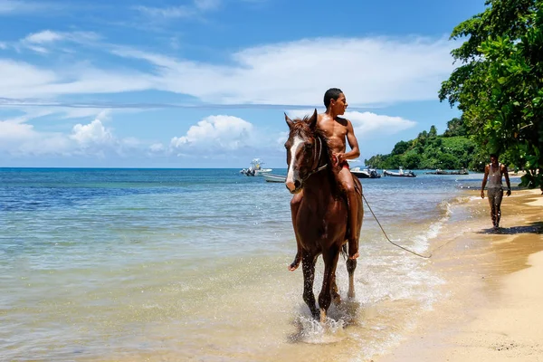 Taveuni、 斐济-11 月 23 日︰ 身份不明的男子骑着马在 t 上 — 图库照片