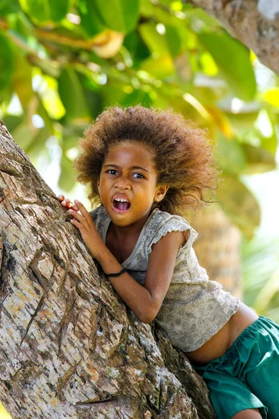 LAVENA, FIJI - NOVEMBRO 27: Menina não identificada senta-se em um tre palma — Fotografia de Stock