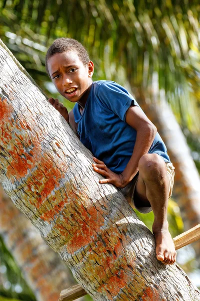 LAVENA, FIDJI - 27 NOVEMBRE : Un garçon non identifié grimpe l'arbre pour — Photo