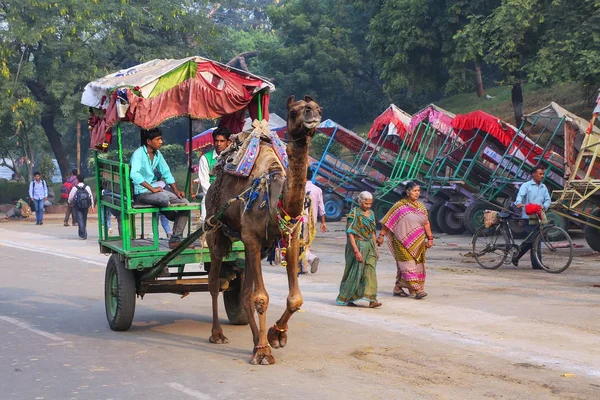 AGRA, INDIA - 8 DE NOVIEMBRE: Hombres no identificados conducen carro de camello para — Foto de Stock