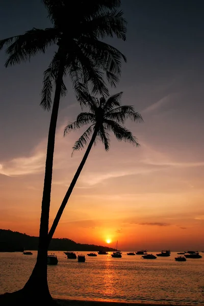 剪影的棕榈树和日出时通赛湾，皮皮 P 上的船 — 图库照片
