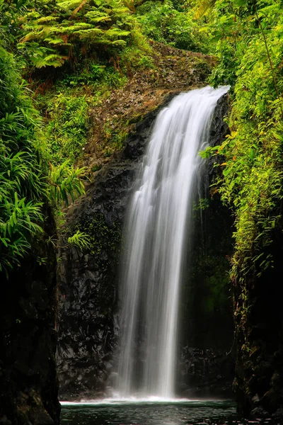 Wainibau водоспад в кінці Lavena прибережних ходити по Taveuni — стокове фото