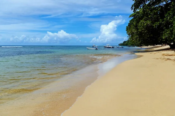 Піщаний пляж на острові Taveuni, Фіджі — стокове фото