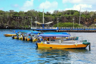 Water taxis anchored at Puerto Ayora on Santa Cruz Island, Galap clipart