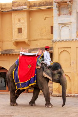 Amber, Hindistan - 1 Mart: Kimliği belirsiz rides elephan dekore edilmiş