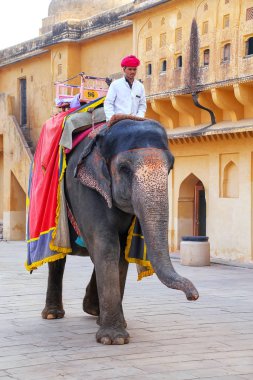 Amber, Hindistan - 13 Kasım: Kimliği belirsiz sürmek YYK dekore edilmiş