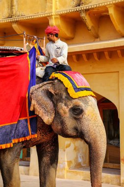 Amber, Hindistan - 13 Kasım: Kimliği belirsiz sürmek YYK dekore edilmiş