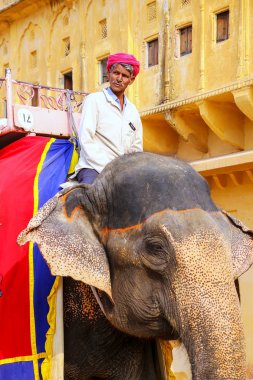 Amber, Hindistan - 13 Kasım: Kimliği belirsiz sürmek YYK dekore edilmiş
