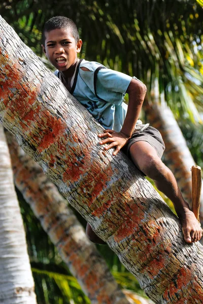 LAVENA, FIJI - 27 DE NOVIEMBRE: Niño no identificado sube al árbol para — Foto de Stock