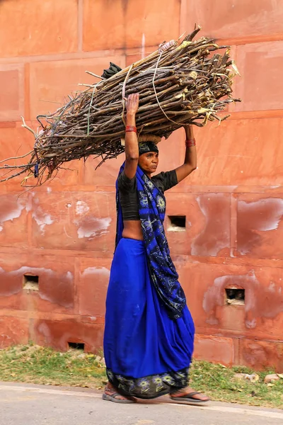 AGRA, INDIA-NOVEMBRE 8: Donna non identificata trasporta fascio di abete — Foto Stock