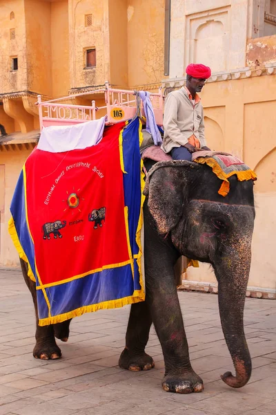 正体不明の男の乗り物が ele を飾られた黄色は、インド - 11 月 13 日。 — ストック写真