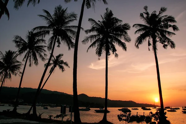 Силуэт пальмы и лодки на восходе солнца на Ао Тон Сай, Пхи П — стоковое фото