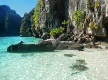 Küçük plaj Phi Phi Leh Island, Krabi il, Tayland