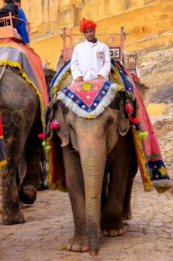 Amber, Hindistan - 1 Mart: Kimliği belirsiz rides elephan dekore edilmiş