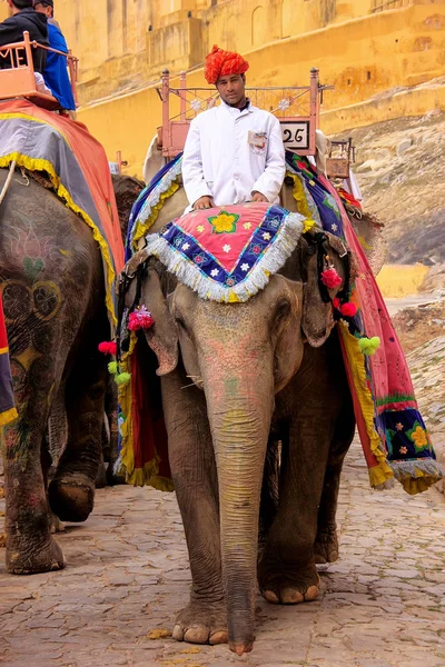 AMBER, INDIA - 1 DE MARZO: Paseos no identificados decorados con elephan — Foto de Stock