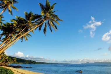 Sandy beach Lavena Köyü Taveuni Island, Fiji