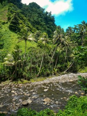 Wainibau akışı Lavena kıyı yürümek, Taveuni Island, Fiji
