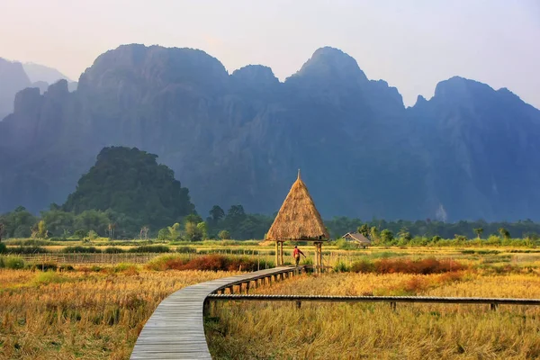 Zbiorów ryżu pola otoczone formacje skalne w Vang Vieng — Zdjęcie stockowe