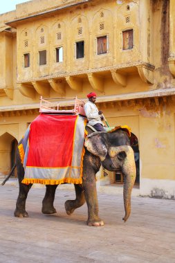 Amber, Hindistan - 13 Kasım: Kimliği belirsiz sürmek YYK dekore edilmiş