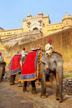 Amber, Hindistan - 13 Kasım: Kimliği belirsiz erkek dekore edilmiş yolculuk elep